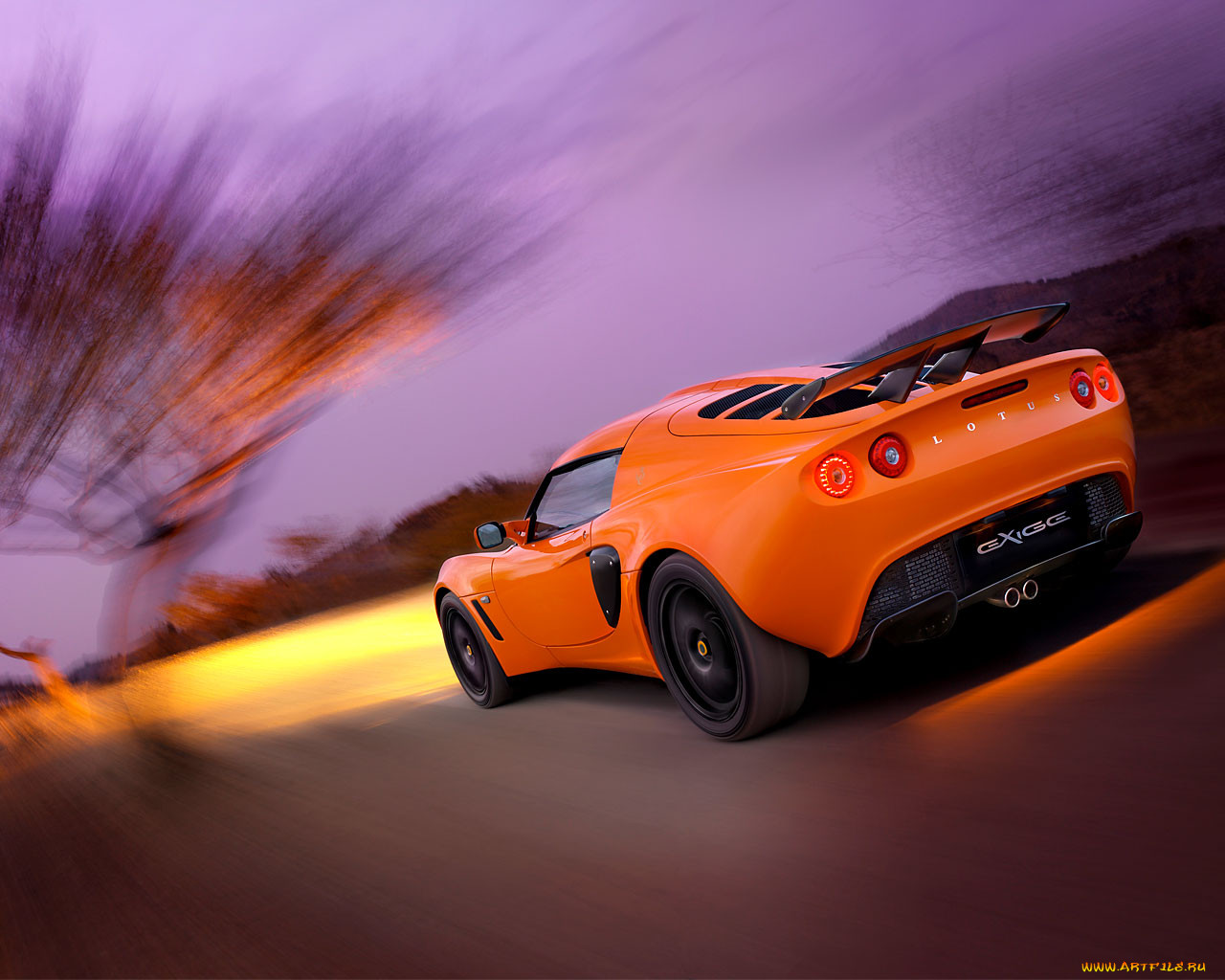 , lotus